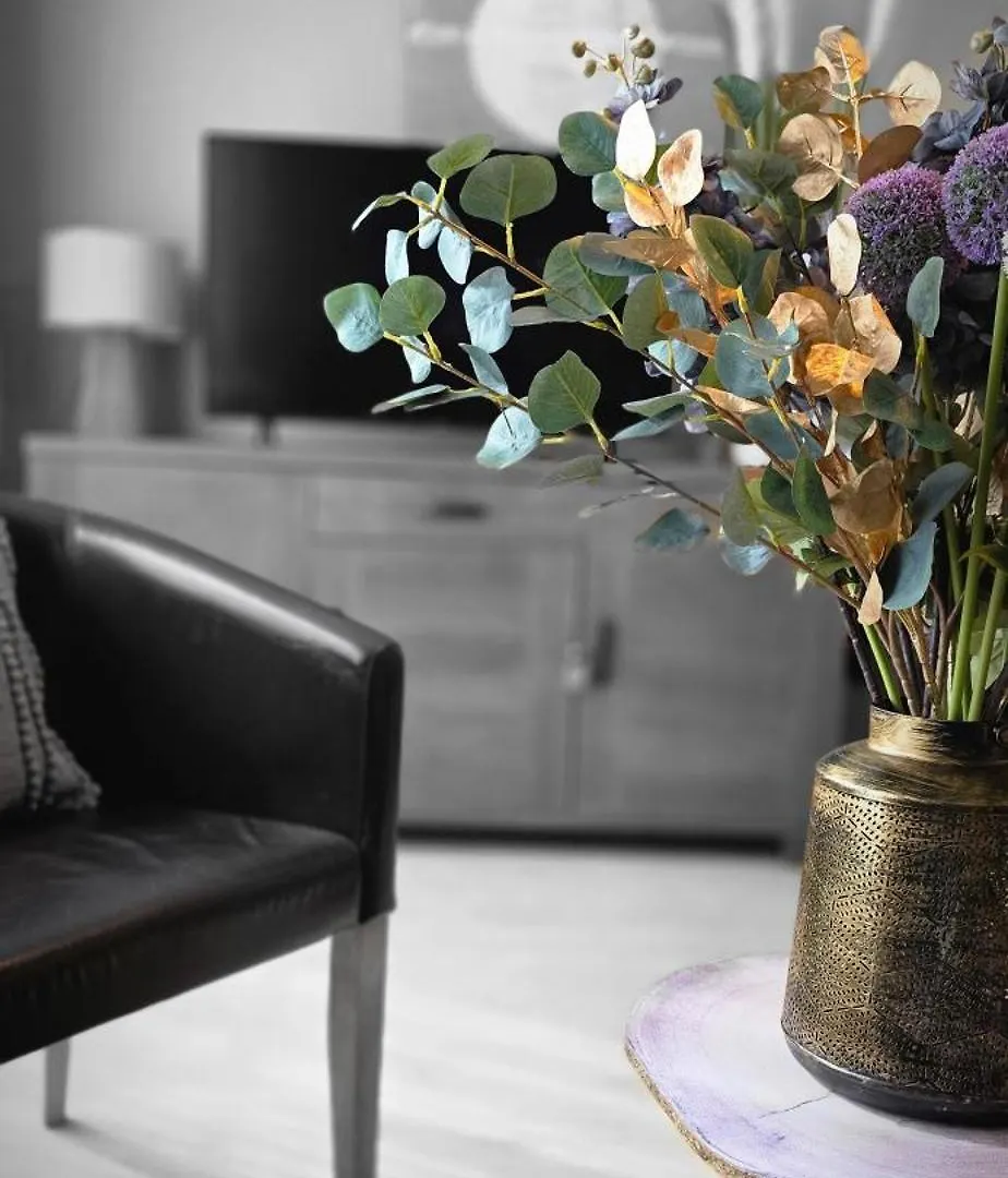 Cosy Apartment Jacqmain Brussels Belgium