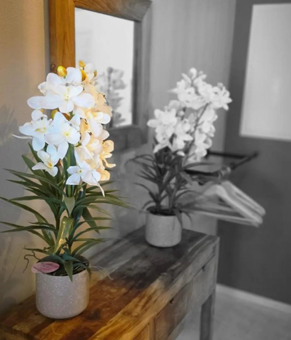 Cosy Apartment Jacqmain Brussels